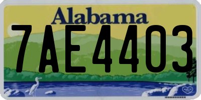 AL license plate 7AE4403
