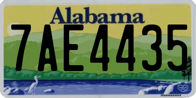 AL license plate 7AE4435