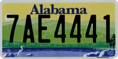 AL license plate 7AE4441