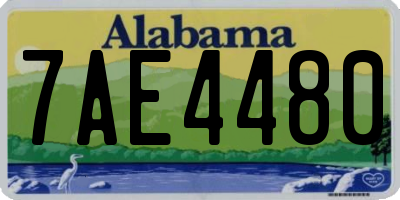 AL license plate 7AE4480