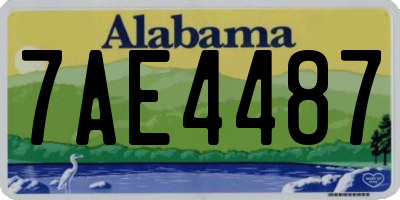 AL license plate 7AE4487
