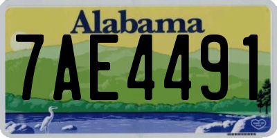 AL license plate 7AE4491