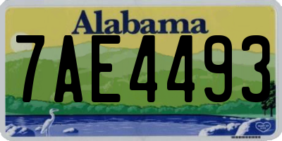 AL license plate 7AE4493