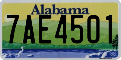 AL license plate 7AE4501