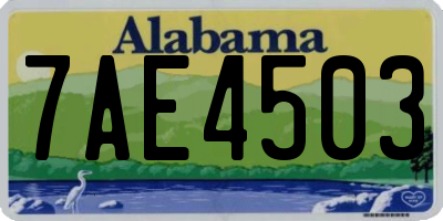 AL license plate 7AE4503
