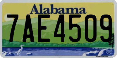 AL license plate 7AE4509