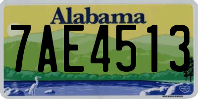 AL license plate 7AE4513