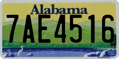 AL license plate 7AE4516