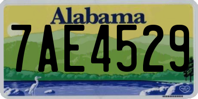 AL license plate 7AE4529