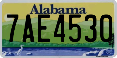 AL license plate 7AE4530
