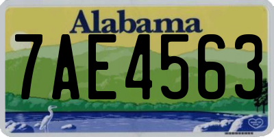 AL license plate 7AE4563