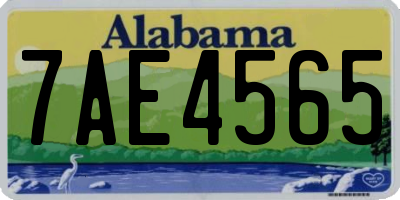 AL license plate 7AE4565