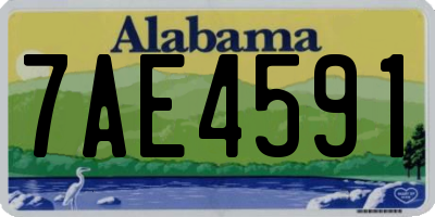 AL license plate 7AE4591