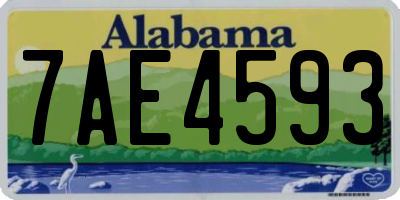 AL license plate 7AE4593