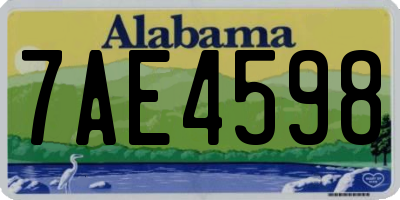 AL license plate 7AE4598