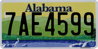 AL license plate 7AE4599