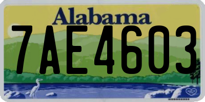 AL license plate 7AE4603