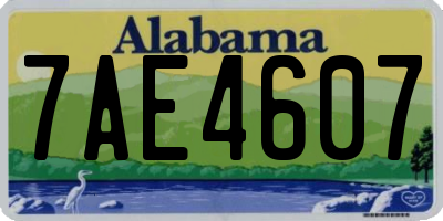 AL license plate 7AE4607