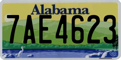 AL license plate 7AE4623