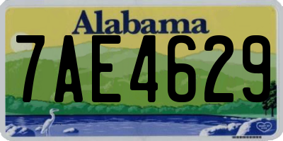 AL license plate 7AE4629