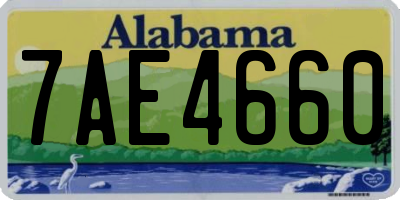 AL license plate 7AE4660