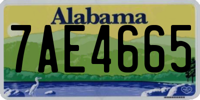 AL license plate 7AE4665