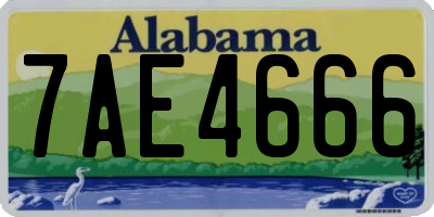 AL license plate 7AE4666