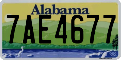 AL license plate 7AE4677