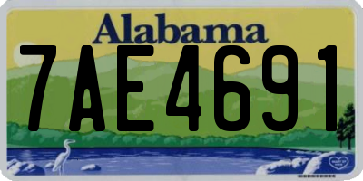 AL license plate 7AE4691
