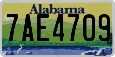 AL license plate 7AE4709