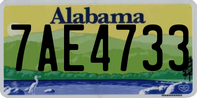 AL license plate 7AE4733