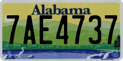 AL license plate 7AE4737