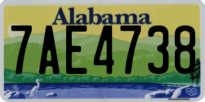 AL license plate 7AE4738