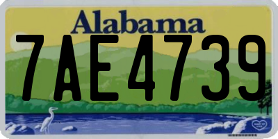 AL license plate 7AE4739