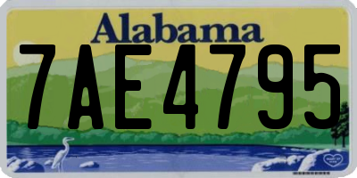 AL license plate 7AE4795