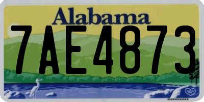 AL license plate 7AE4873