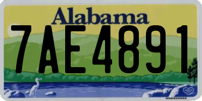 AL license plate 7AE4891