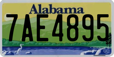 AL license plate 7AE4895
