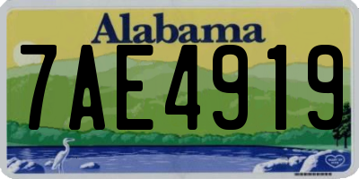 AL license plate 7AE4919