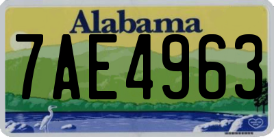 AL license plate 7AE4963