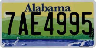 AL license plate 7AE4995