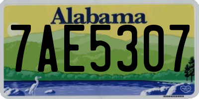 AL license plate 7AE5307