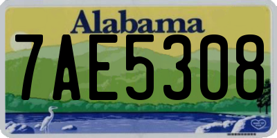 AL license plate 7AE5308