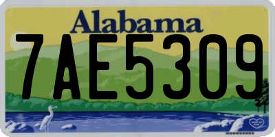 AL license plate 7AE5309