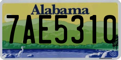 AL license plate 7AE5310