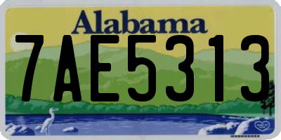 AL license plate 7AE5313