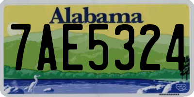 AL license plate 7AE5324