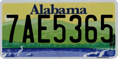 AL license plate 7AE5365