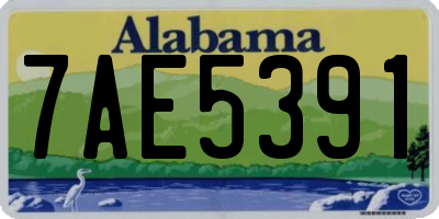 AL license plate 7AE5391