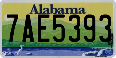 AL license plate 7AE5393